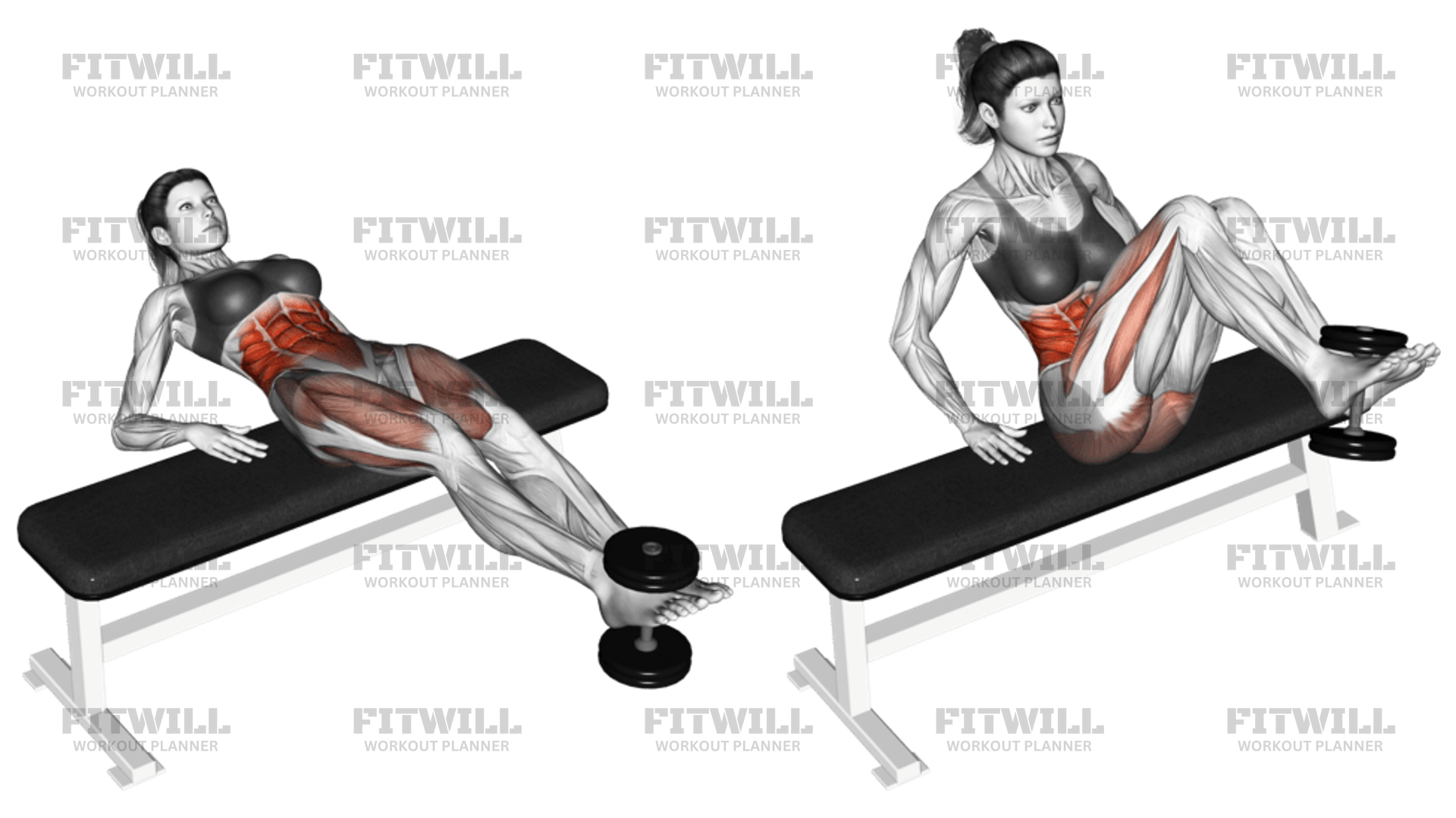 Weighted Twisting Crunch (on Bench): Exercise Video | Fitwill