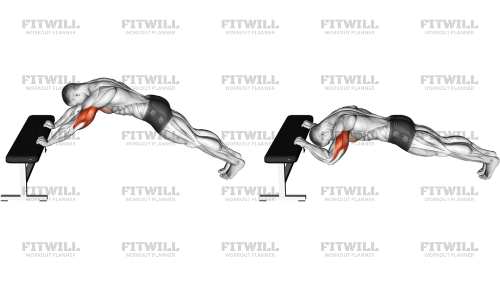 Triceps Press Head Below Bench