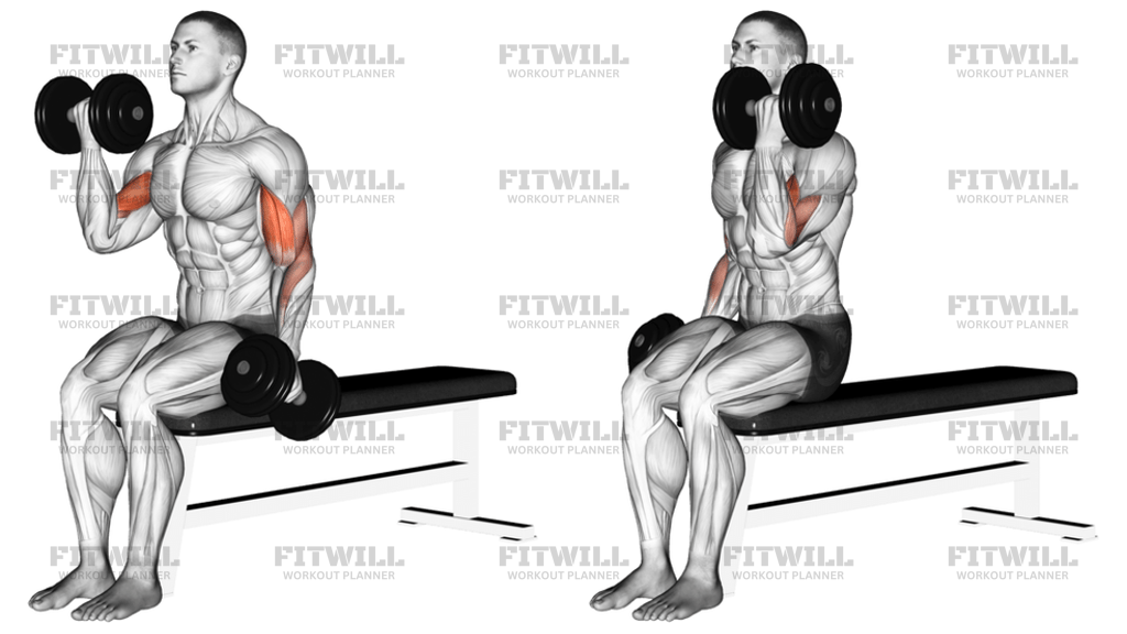Dumbbell Alternate Biceps Curl