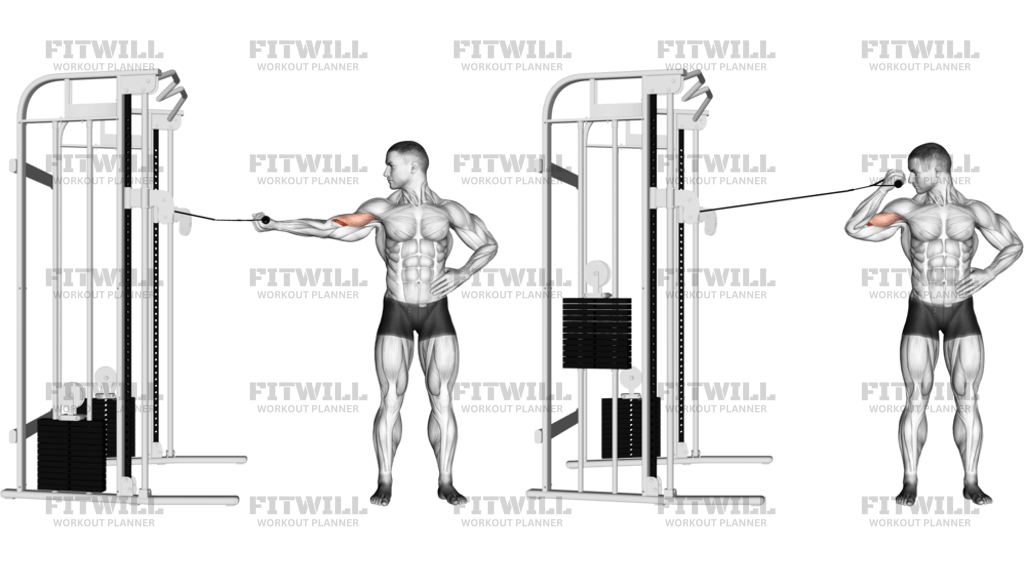 Jednoručni Unutrašnji Pregib Na Sajli Za Biceps