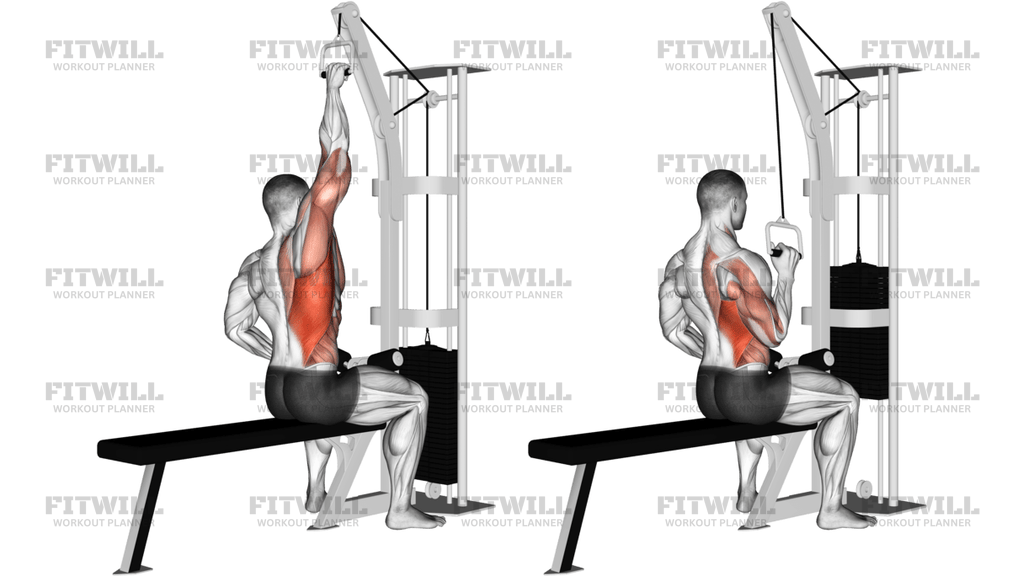 Cable One-Arm Lat Pulldown Right Side