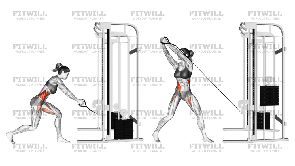 Cable Twist (down Up): Exercise Guide, Video, Techniques, Benefits, How ...