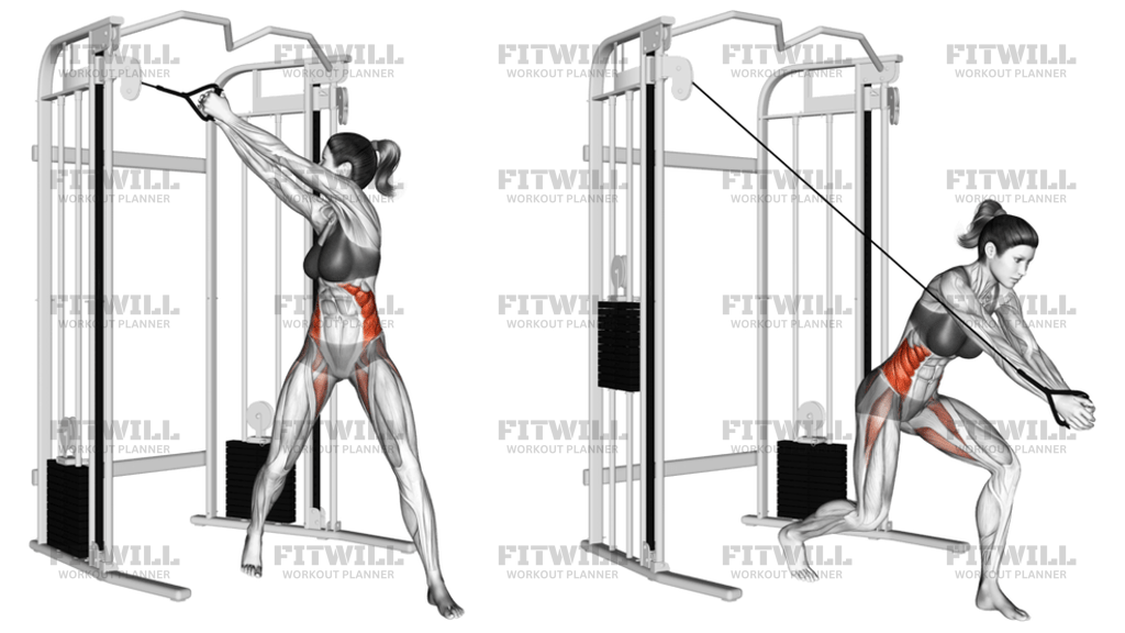 Cable Twist Up Down Version 2: Exercise Guide, Video, Techniques ...