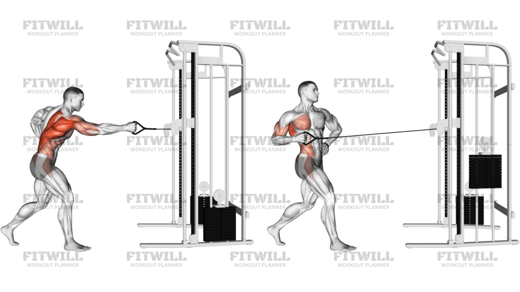 Cable Twisting Standing Row