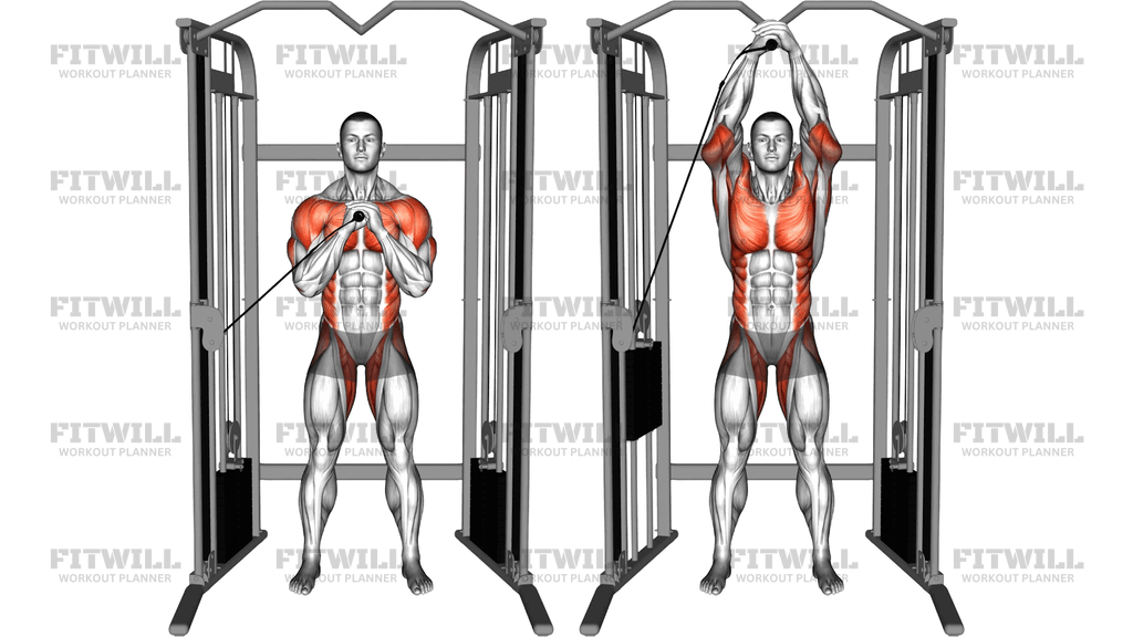 Cable Vertical Pallof Press