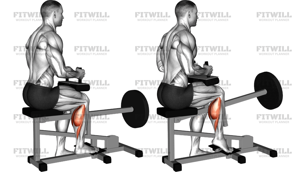 Lever Seated One Leg Calf Raise