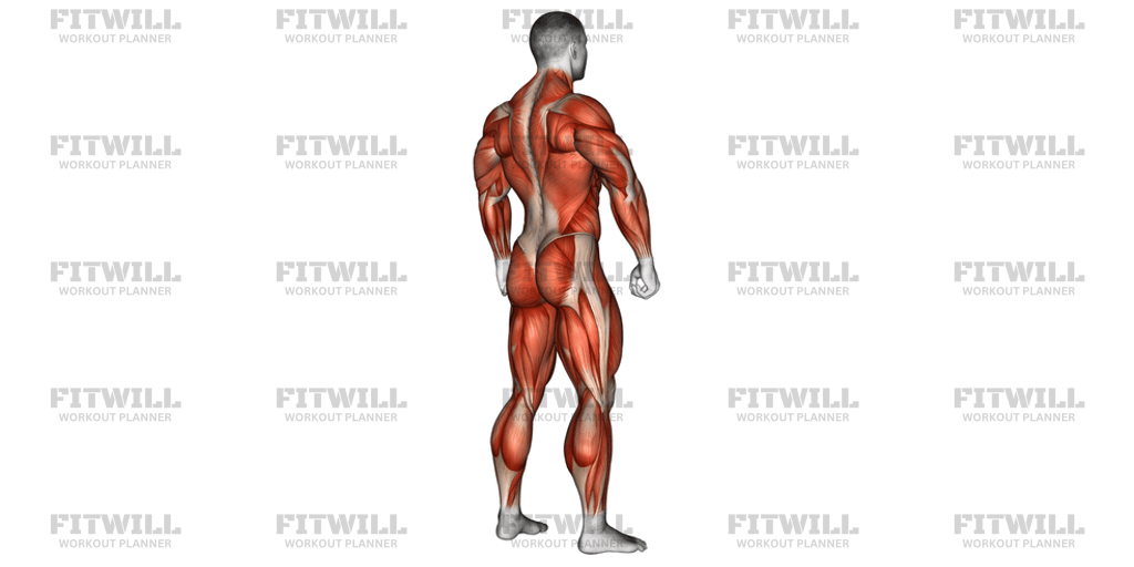 Body Muscle Side Back View: Exercise Guide, Techniques, Benefits, How ...