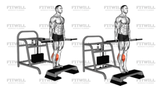 Lever Calf Raise Bench Press Machine