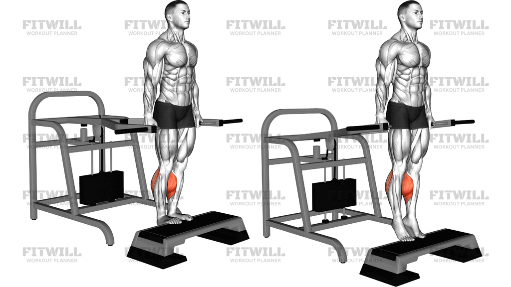 Lever Calf Raise Bench Press Machine