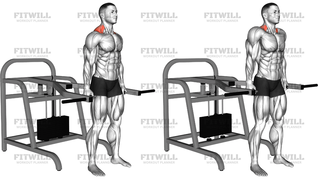 Lever Shrug Bench Press Machine