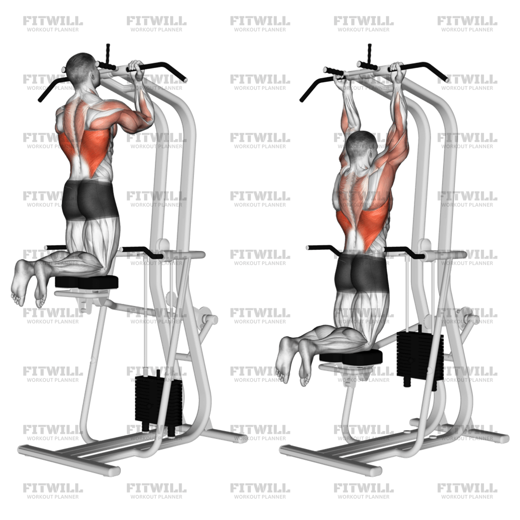 Assisted Close grip Underhand Chin up Exercise Guide Techniques Benefits How to Muscles Worked Tips Tricks Fitwill