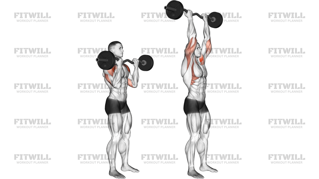 EZ-Bar Standing Overhead Press