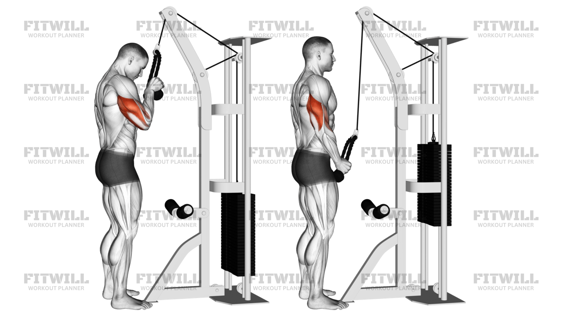 Cable Standing One Arm Tricep Pushdown Overhand Grip Exercise Video Fitwill