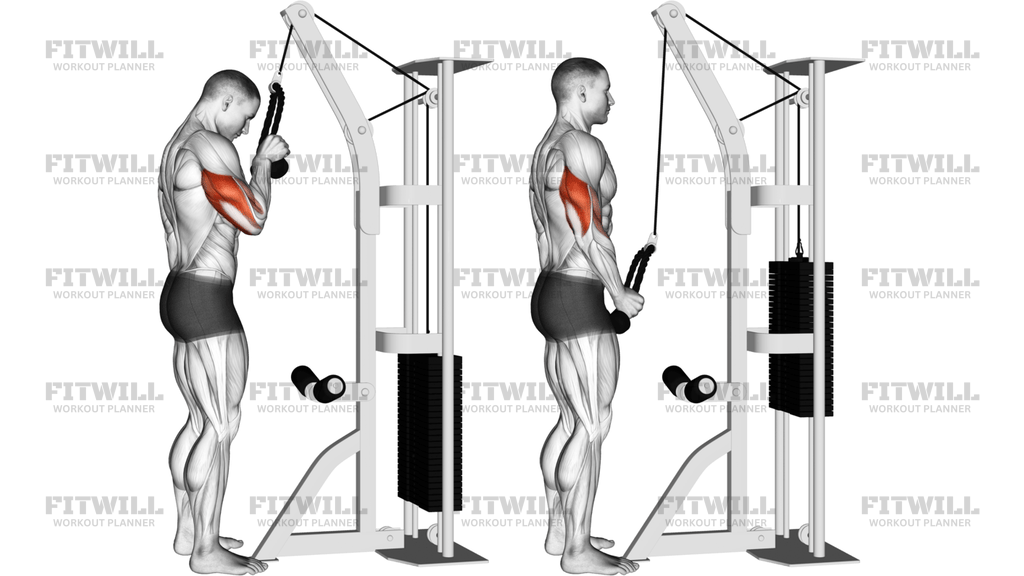 Cable Standing One-Arm Tricep Pushdown Overhand Grip