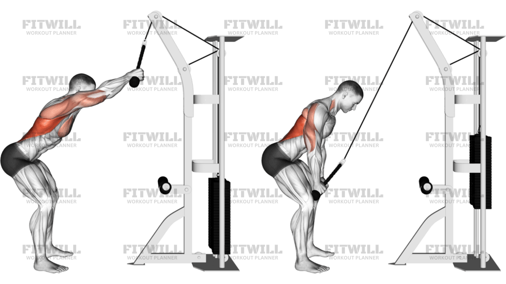 Cable Rope Standing Lat Pushdown
