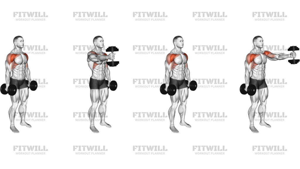 Dumbbell Standing Alternate Vertical Front Raises