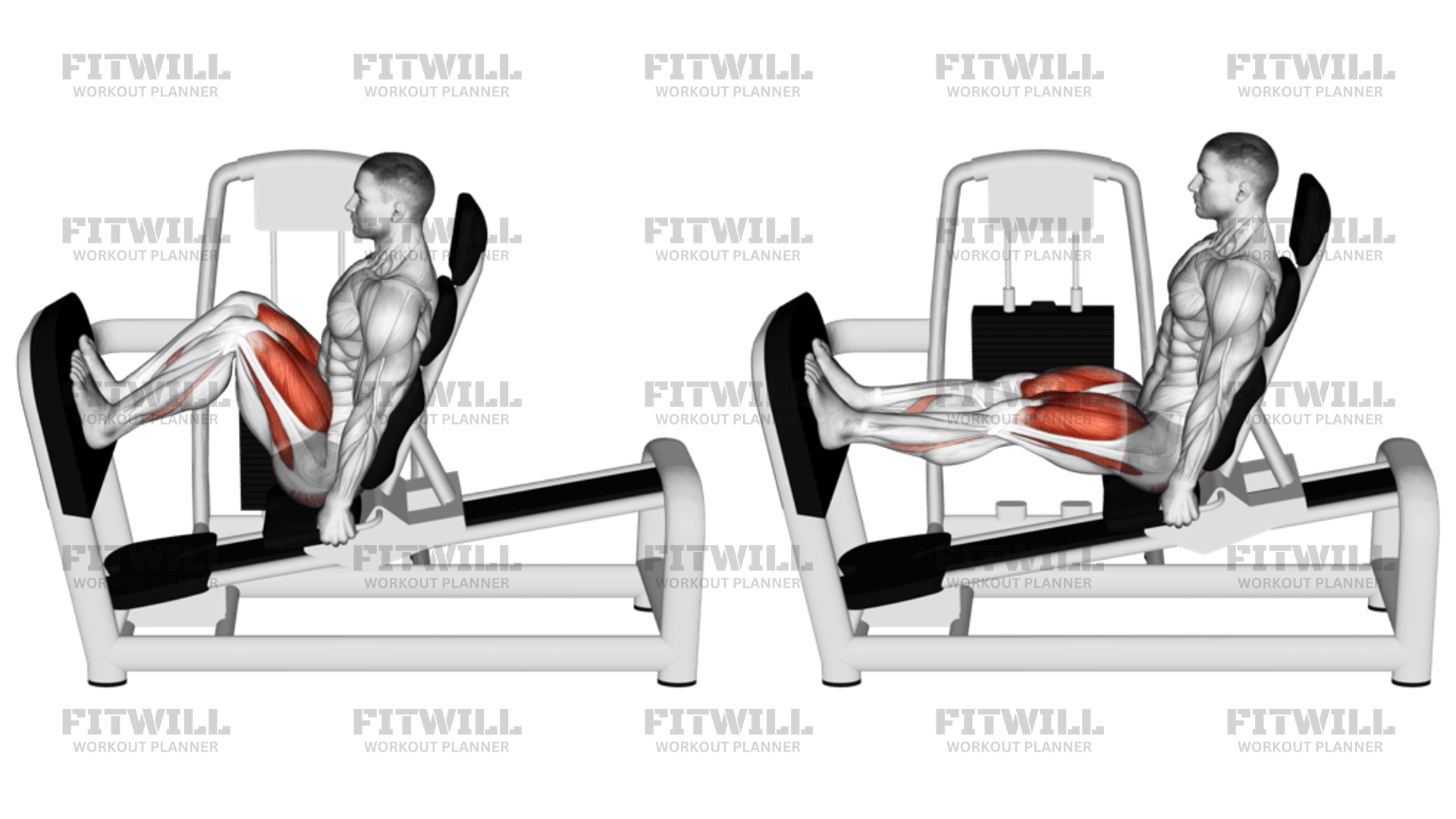 Lever Seated Squat Exercise Guide Techniques Benefits How to Muscles Worked Tips Tricks Fitwill