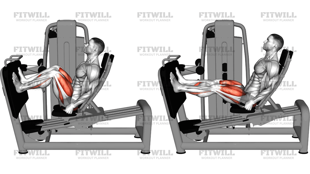 Lever Seated Squat
