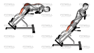 Plate Hyperextension
