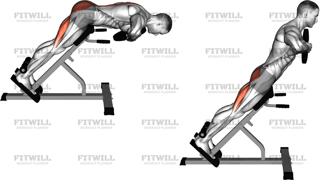 Plate Hyperextension