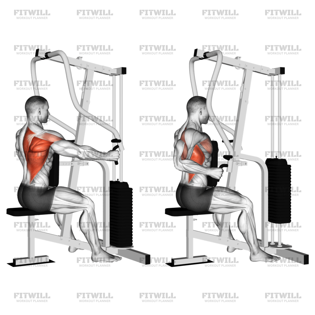 Lever One Arm Seated Row Seated Row Machine Exercise Guide Techniques Benefits How to Muscles Worked Tips Tricks Fitwill