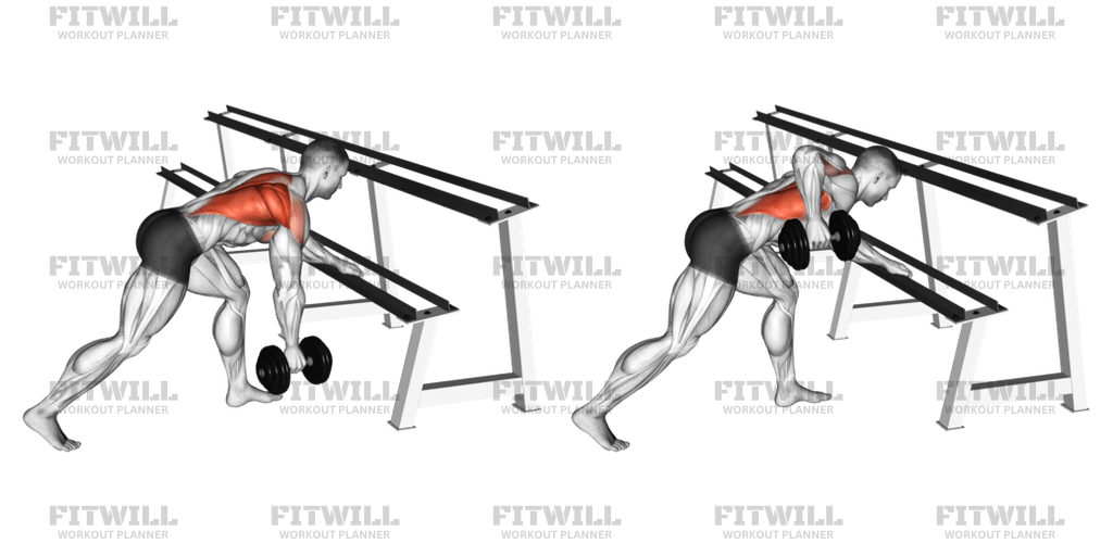 Dumbbell rack row sale