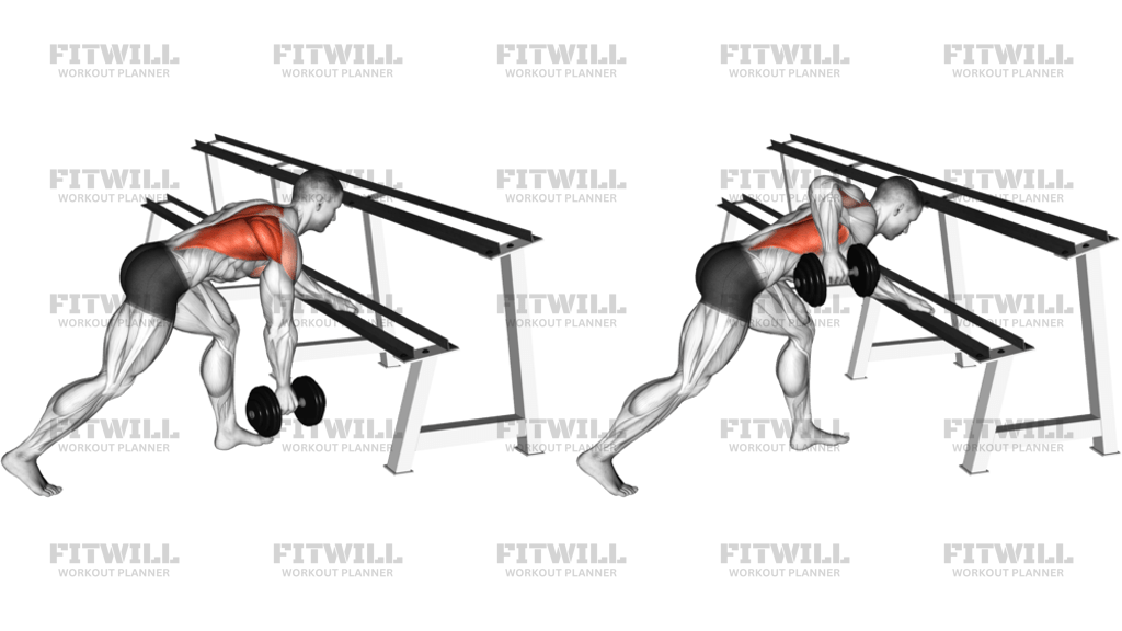 Dumbbell One-Arm Row Rack Support