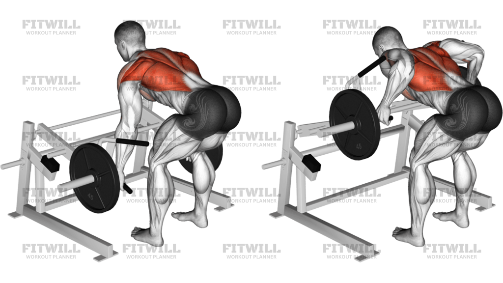 Standing Lever Row
