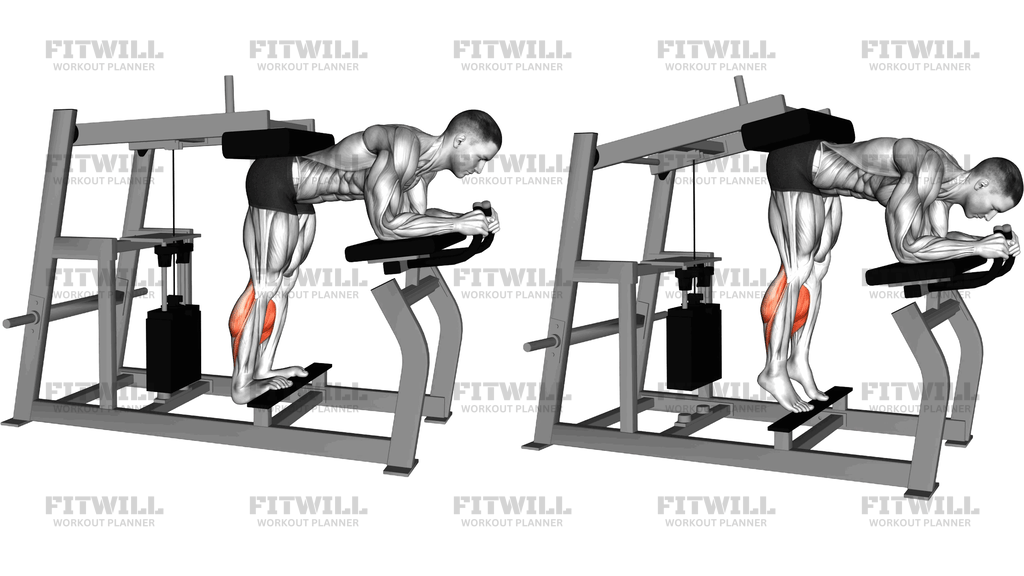 Lever Donkey Calf Raise