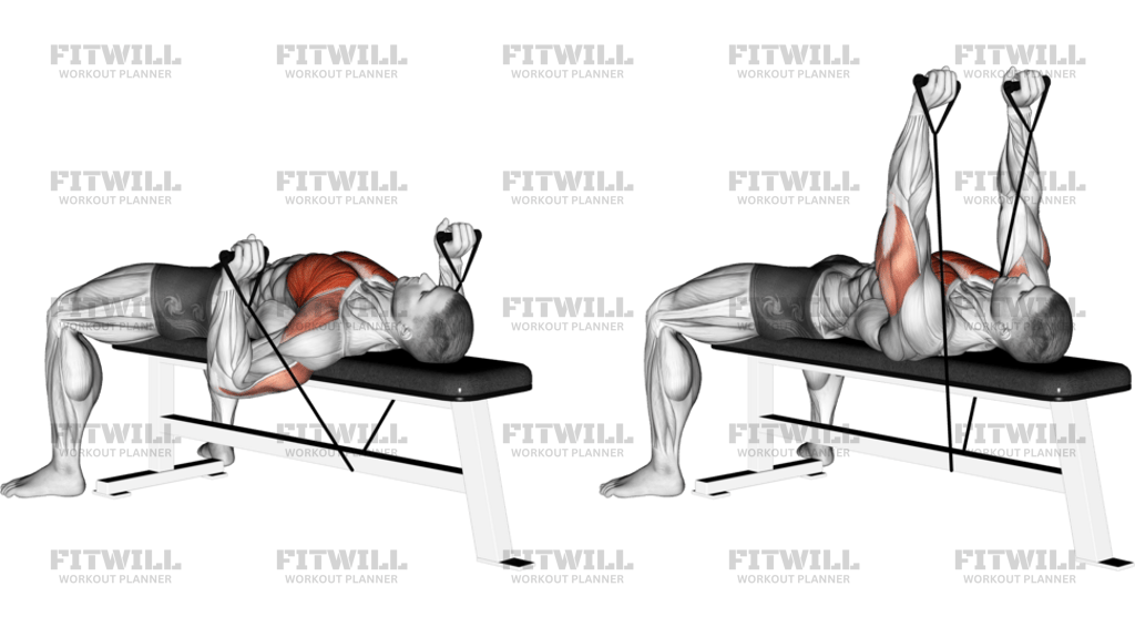 Band Bench Press