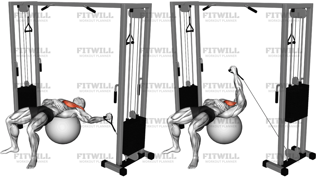 Cable One-Arm Fly Di Atas Bola Latihan