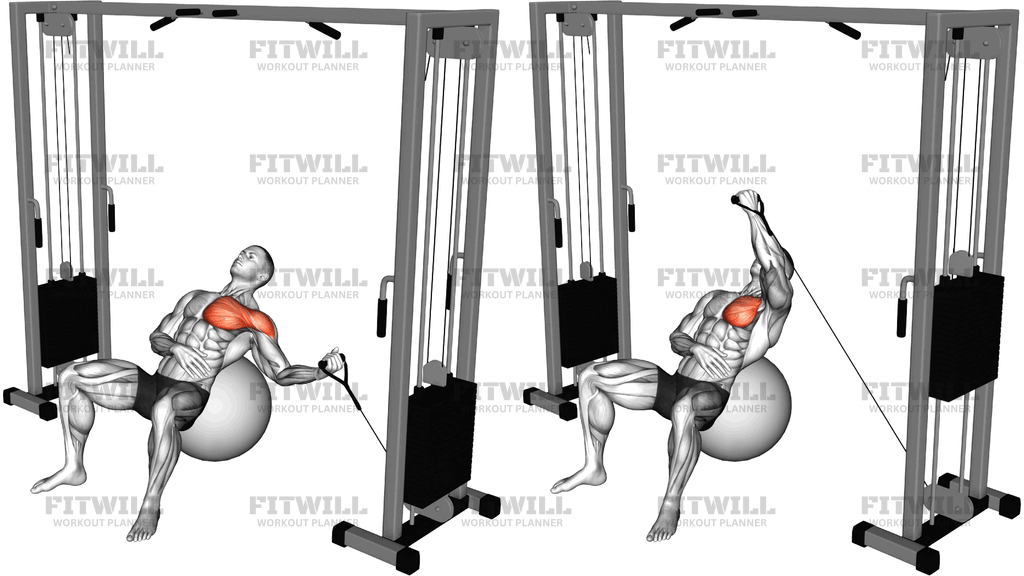 Cable One-Arm Incline Fly On Exercise Ball