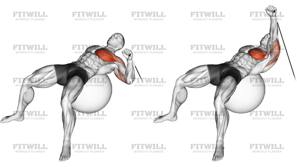Cable One-Arm Press On Exercise Ball