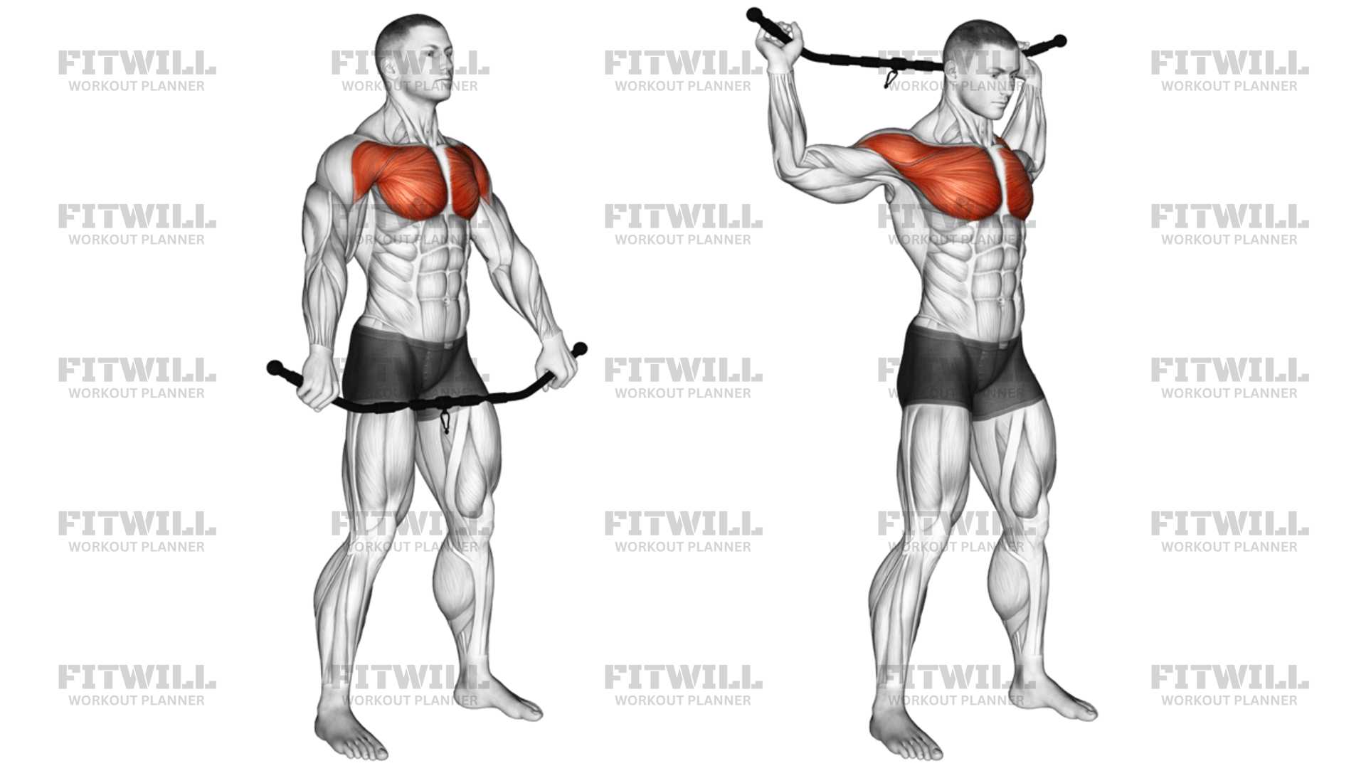 Chest And Front Of Shoulder Stretch: Exercise Guide, Video, Techniques ...