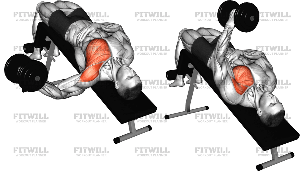 Dumbbell Decline One-Arm Fly