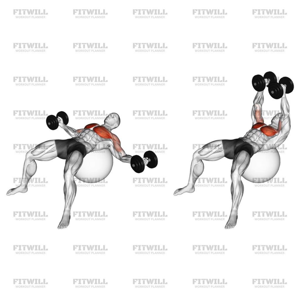Dumbbell Fly On Exercise Ball Exercise Video Fitwill