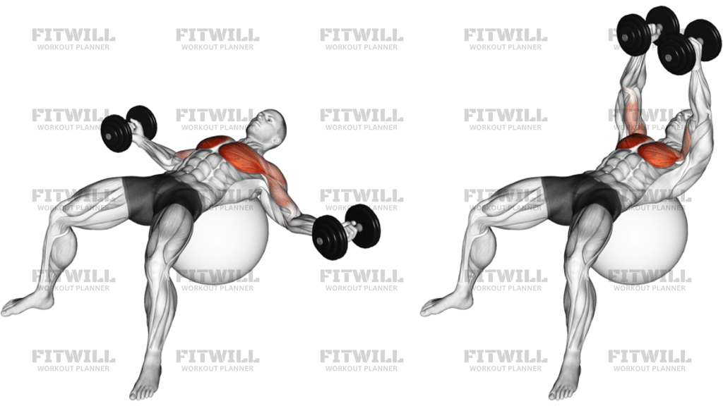 Dumbbell Fly On Exercise Ball