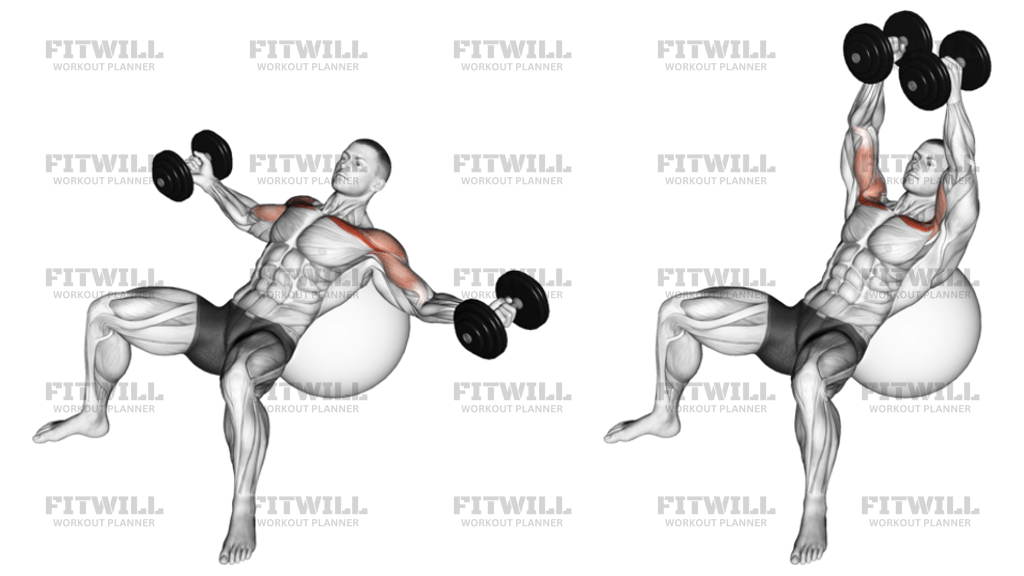 Aperturas Inclinadas Con Mancuernas Sobre Pelota De Ejercicio: Guía de ...