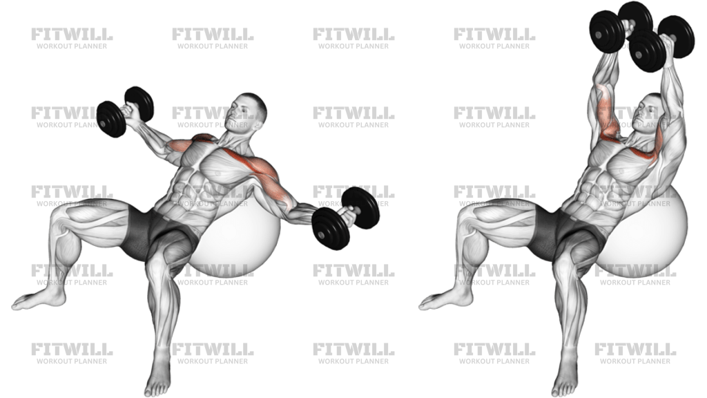 Dumbbell Incline Fly On Exercise Ball