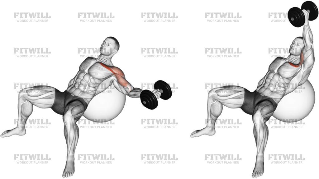 Dumbbell Incline One-Arm Fly On Exercise Ball