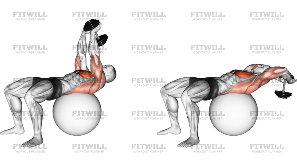 Dumbbell Lying Pullover On Exercise Ball