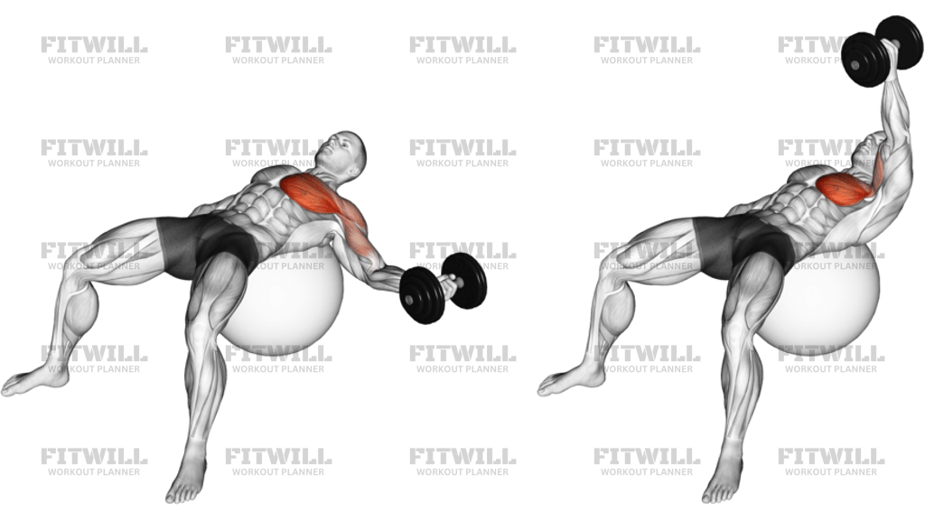 Dumbbell One-Arm Chest Fly On Exercise Ball