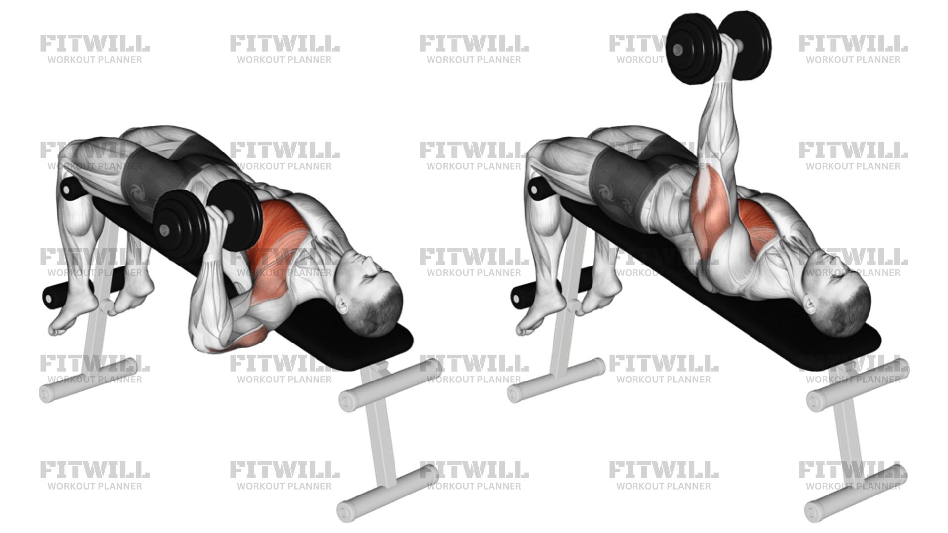 Dumbbell One Arm Decline Chest Press Exercise Guide Techniques Benefits How to Muscles Worked Tips Tricks Fitwill