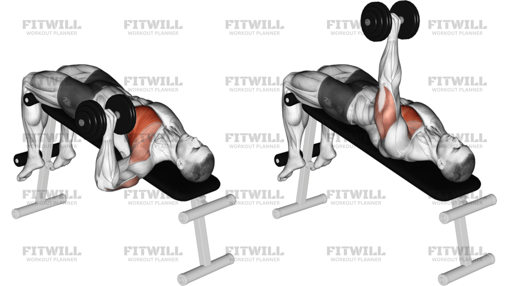 Dumbbell One-Arm Decline Chest Press