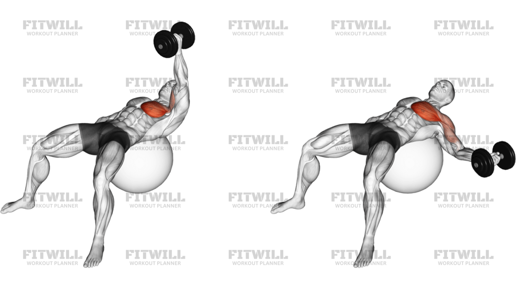 Dumbbell One-Arm Fly On Exercise Ball