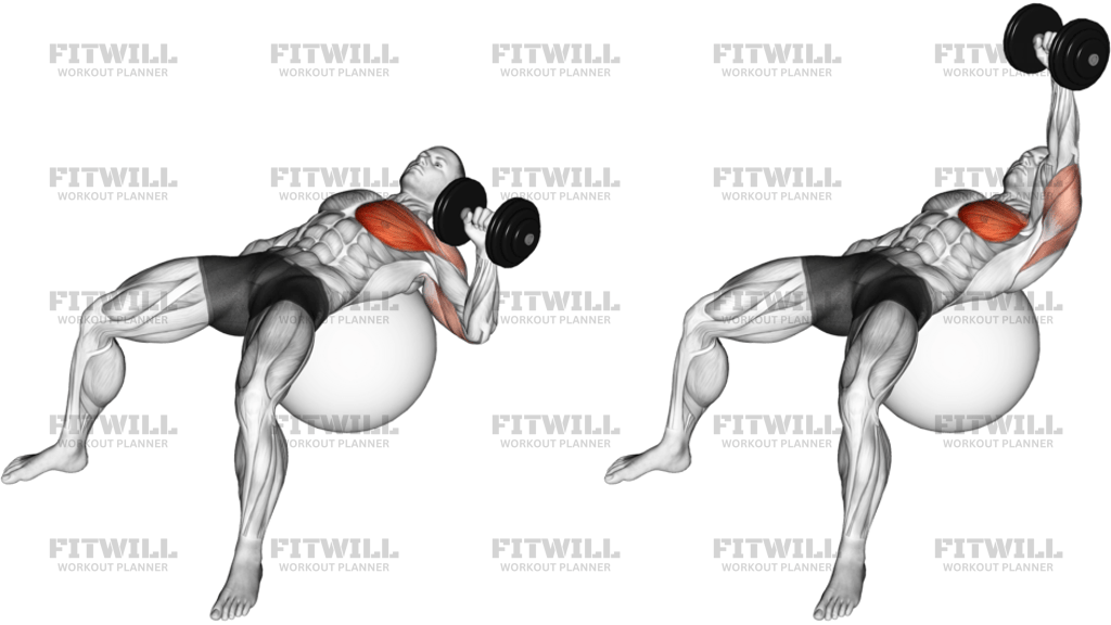 Dumbbell One-Arm Press On Exercise Ball