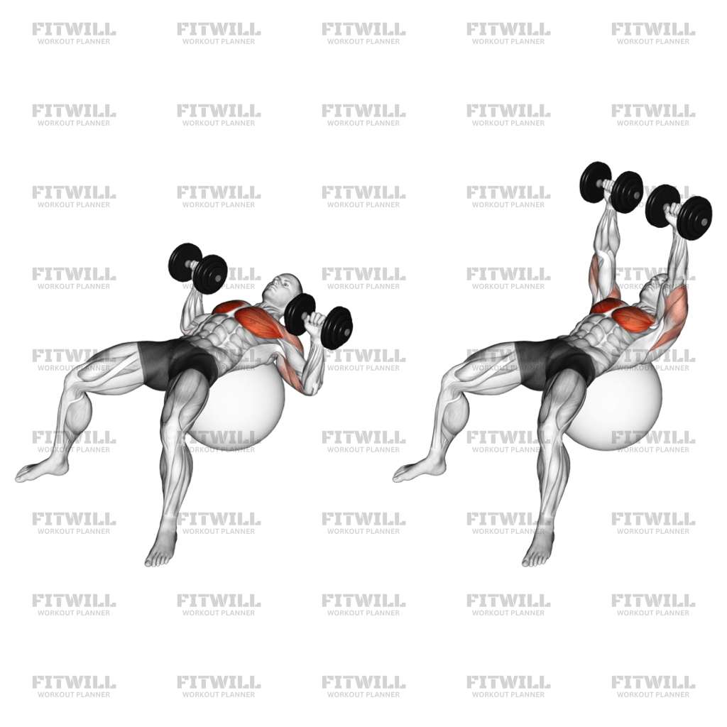 Dumbbell Press On Exercise Ball Exercise Guide Techniques Benefits How to Muscles Worked Tips Tricks Fitwill