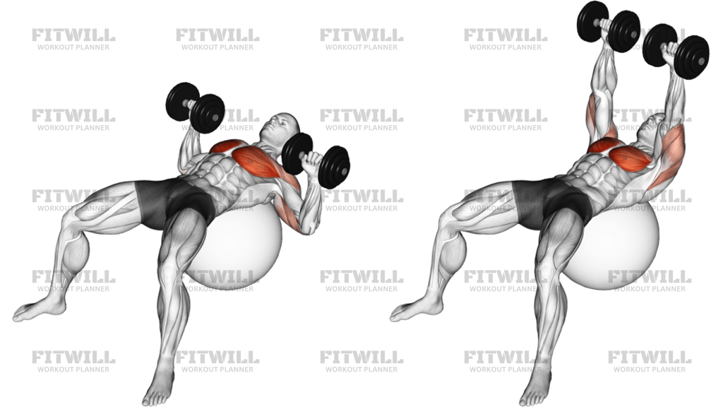 Dumbbell Press On Exercise Ball