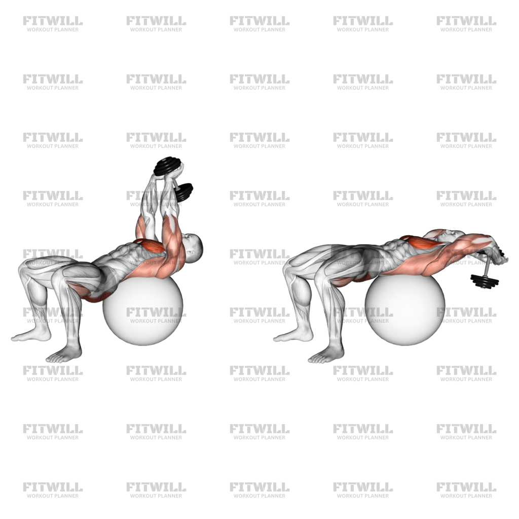 Dumbbell hip extension outlet