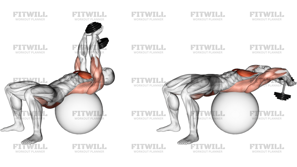Dumbbell Pullover Hip Extension On Exercise Ball